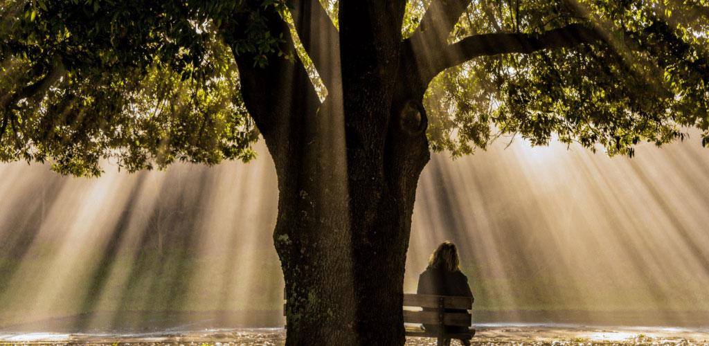 Trauer zulassen – Warum eine Verdrängung nicht weiterhilft